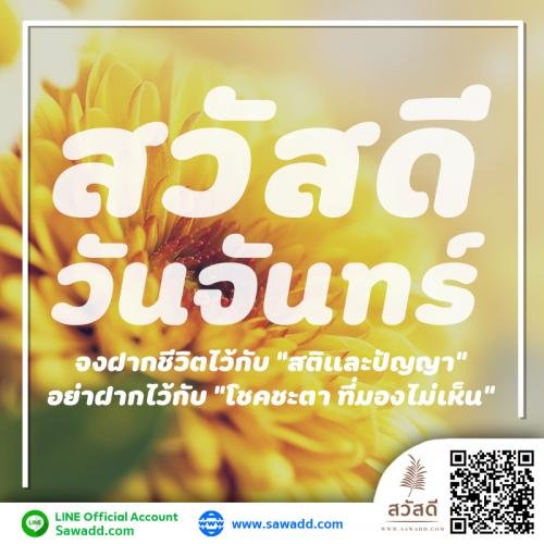 สวัสดี สวัสดีวันจันทร์ดอกไม้ sawadd 001