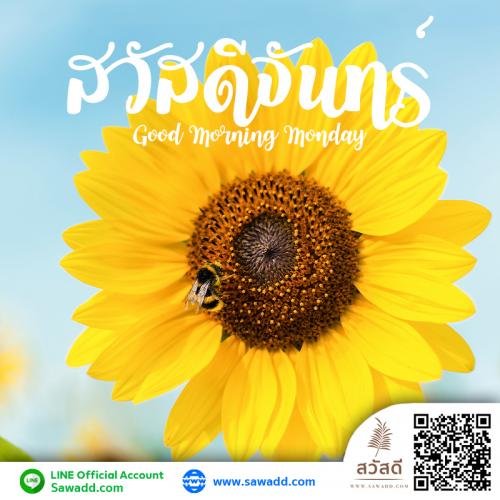 สวัสดี สวัสดีวันจันทร์ดอกไม้ sawadd 007