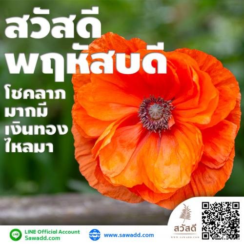 สวัสดี สวัสดีวันพฤหัสบดีดอกไม้ sawadd 008