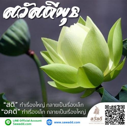 สวัสดี สวัสดีวันพุธดอกไม้ sawadd 007 (1)