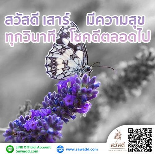 สวัสดี สวัสดีวันเสาร์ดอกไม้ sawadd 001